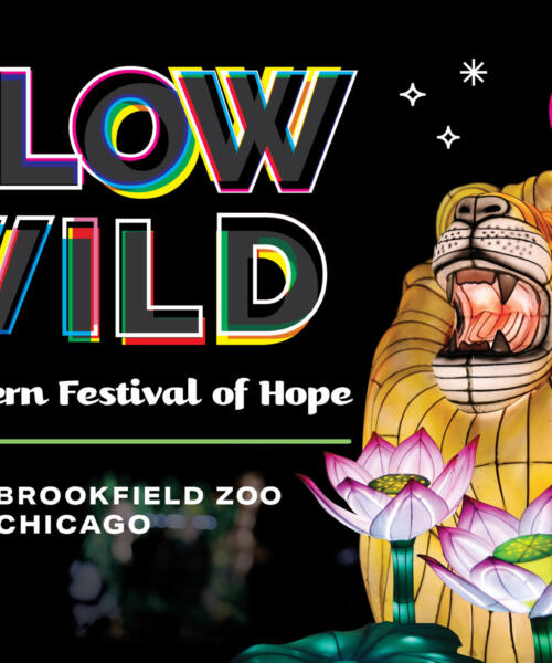 Glow Wild